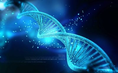 How Metabolomics Enhances Human Genomics Studies