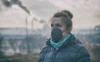 The Metabolomic Significance of Air Pollution